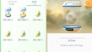 egg hatching