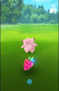poke razz bery