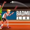 badminton league