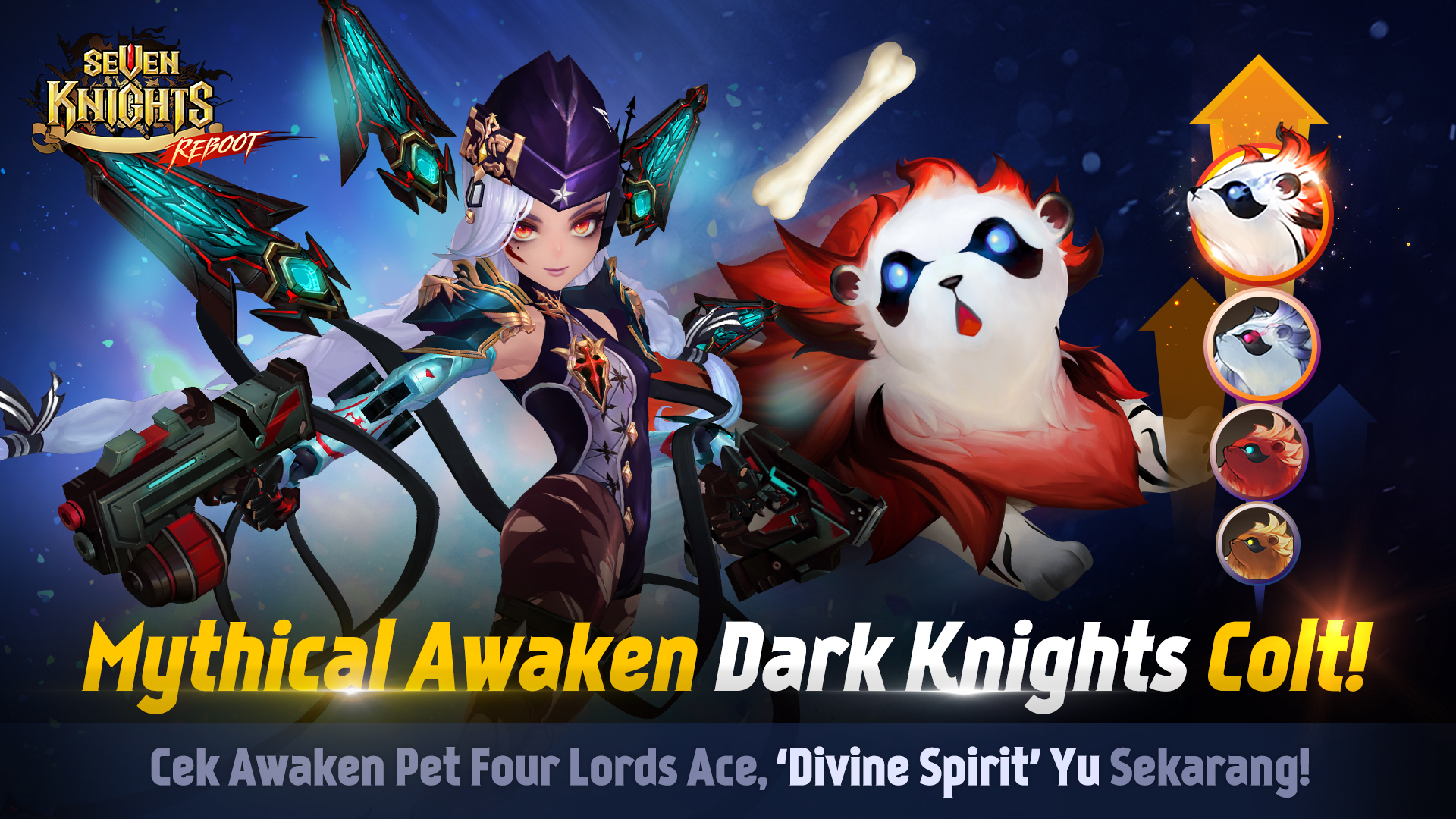 seven knights