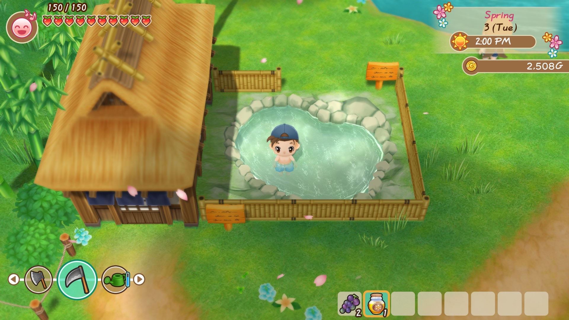 story of seasons friends of mineral town